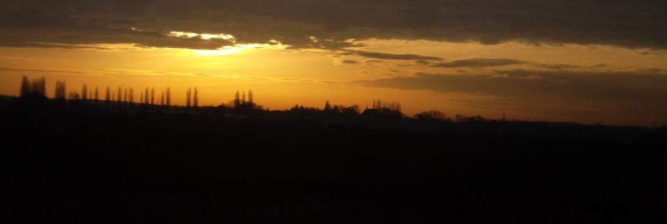 Golden Sky